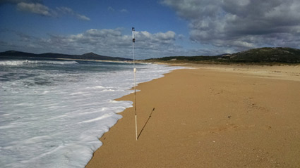 Poste - víedo Arte - Manoel Bonabal